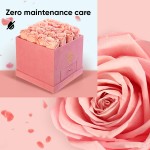 Premium Roses| Real Roses That Last a Year | Fresh Flowers| Roses in a Box (Pink Box, Medium)