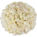 Inspiraterra - 100 Long Stem Roses - Fresh Cut. Delivered at Your Door Within 4 Business Days. (Bulk) (White)