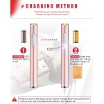 Usb Mini Lighters Electronic Rechargeable Windproof Flameless Cigarette Plasma Lighter (Rose Gold)