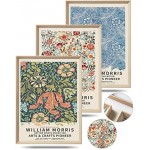 UPWOIGH Framed Wall Art,30x40CM William Morris Wood Canvas Wall Art,Cotton Pattern Vintage Poster Wall Decor Aesthetic for Living Room Bedroom, Colorful Plants Flowers Neutral Wall Decor Set of 3 Gift