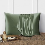 DISANGNI 100% Silk Pillow Cases 2 Packfor Hair and Skin,with Hidden Zipper 22 Momme Both Sides Pure Natural Mulberry Silk Real Silk Pillow Case (2 pc Standard Size 20"x26" Green)