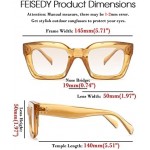 FEISEDY Classic Women Sunglasses Fashion Thick Square Sun Glasses Chunky Frame UV400 B2471