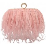 Women Real Natural Ostrich Feather Evening Bags Purses Clutch Vintage Banquet Handbag