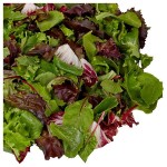 Organic Spring Mix, 1 lb