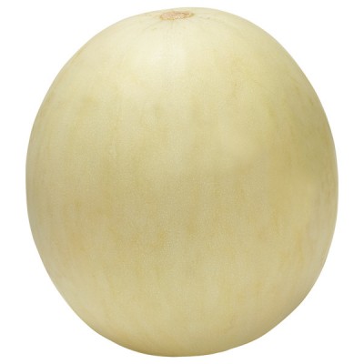 Honeydew Melon, 1 ct