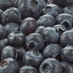 Organic Blueberries, 18 oz