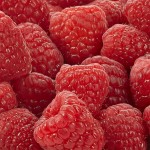 Organic Raspberries, 12 oz