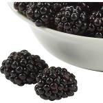 Organic Blackberries, 12 oz