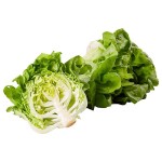 Organic Living Lettuce, 2 ct