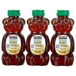 Kirkland Signature Raw Organic Honey Bears, 3 X 24 oz