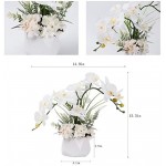 LESING Artificial Ochid Flowers Fake Faux Orchid Arrangement with Vase Artificial Bonsai Potted Flowers Phalaenopsis Orchid in Vase for Home Decoration (Style 2,White Vase)