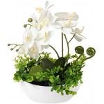 Orchids Artificial Flowers 14" Large Fake Orchid White Phalaenopsis Orchid Flower Arrangements with Ceramic Vase Faux Orchid for Home Bathroom Table Centerpiece Office Wedding Decor