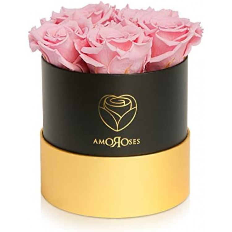 Amoroses Petite - Gift Pack of 5 Eternal Stabilized Roses - Elegant Bouquet of Real Flowers | Mother's Day (Petite Black Box with Pink Roses)