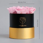 Amoroses Petite - Gift Pack of 5 Eternal Stabilized Roses - Elegant Bouquet of Real Flowers | Mother's Day (Petite Black Box with Pink Roses)