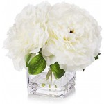 ENOVA HOME Silk Peony Flowers Arrangements in Cube Glass Vase with Faux Water for Home Table Wedding Centerpiece Decoration (Cream)