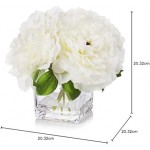 ENOVA HOME Silk Peony Flowers Arrangements in Cube Glass Vase with Faux Water for Home Table Wedding Centerpiece Decoration (Cream)