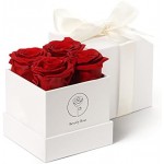 Beverly Rose 4Pcs Red Square Forever Flower Box of Roses Real Eternity Roses Preserved Flowers – Fresh Forever Roses That Last a Year Or More, Preserved Roses In a Box, Flowers For Delivery Prime