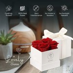 Beverly Rose 4Pcs Red Square Forever Flower Box of Roses Real Eternity Roses Preserved Flowers – Fresh Forever Roses That Last a Year Or More, Preserved Roses In a Box, Flowers For Delivery Prime