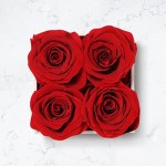 Beverly Rose 4Pcs Red Square Forever Flower Box of Roses Real Eternity Roses Preserved Flowers – Fresh Forever Roses That Last a Year Or More, Preserved Roses In a Box, Flowers For Delivery Prime