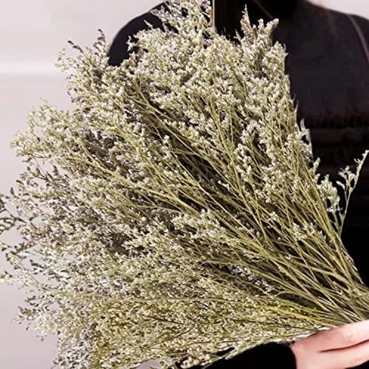 Preserved Natural Limonium Bouquet, 25+ Stems Real Fresh Caspia Bellidifolium, Sea Lavender, Baby Breath Flowers, for Wedding Birthday, Home Décor, Valentine’s Day, Rustic Holiday(Original)