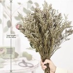 Preserved Natural Limonium Bouquet, 25+ Stems Real Fresh Caspia Bellidifolium, Sea Lavender, Baby Breath Flowers, for Wedding Birthday, Home Décor, Valentine’s Day, Rustic Holiday(Original)