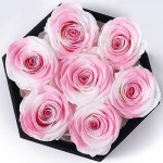 Kylin Glory Preserved Roses with Hexagon Acrylic Cover - 7 Piece Forever Flowers, Visible Freshness, Perfect for Mothers & Valentines Day Gifts (Pink & White)