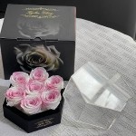 Kylin Glory Preserved Roses with Hexagon Acrylic Cover - 7 Piece Forever Flowers, Visible Freshness, Perfect for Mothers & Valentines Day Gifts (Pink & White)