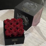 Kylin Glory Forever Roses with Rose Gold Necklace for Delivery Prime - 9 Piece Preserved Flowers under Arylic Cover, Visible Freshness, Ideal for Mothers & Valentines Day (Red)