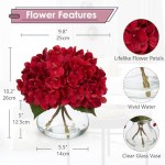 Hollyone Hydrangea Artificial Flowers in Vase Red Silk Fall Fake Flowers Arrangements with Glass Vase with Faux Water Faux Floral Bulk Bouquet for Office Table Centerpiece Shelf Home Decorations