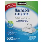 Kirkland Signature Flushable Wipes, 632 ct