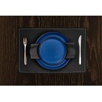 Stone Lain Albie Stoneware 16-Piece Modern Dinnerware Set, Kitchen Plates and Bowls Sets, Dish Set for 4, Blue and Black