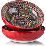 YUN TAO Large Serving Bowls,10 inch Fruit Salad Bowls, 75 Oz Pasta Bowls Set of 2,Decorative Serving Dishes for Entertaining, Vibrant Color Ramen Bowls for Party,Microwave & Dishwasher Safe