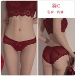 Guiruo Fun Underwear Sexy Perspective Mesh Attraction Cute and Sweet Bow Knot Low Waist Underwear Triangles 1179