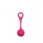 Kegel Ball Single and Double Ball Women's Vaginal Dumbbell Smart Ball Sex Products Adult Sex Products