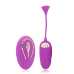 Wireless Remote Control Egg Jumping Happy Fish Egg Jumping Women's Fun Masturbation Equipment Vaginal Massager Women's Masturbation Products