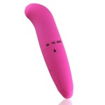 Little Dolphin Shaker Female Egg Jumper Female Masturbation Equipment Mini Massage Stick G-point Stimulating Adult Products