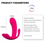 USB charging female vibration massage stick female masturbation device wireless remote control invisible wearing jump egg penis