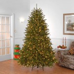 National Tree Company Pre-Lit Artificial Full Christmas Tree, Green, Dunhill Fir, White Lights, Includes Stand, 7.5 Feet