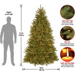 National Tree Company Pre-Lit Artificial Full Christmas Tree, Green, Dunhill Fir, White Lights, Includes Stand, 7.5 Feet