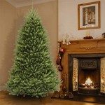 National Tree Company Artificial Full Christmas Tree, Green, Dunhill Fir, Includes Stand, 7.5 Feet