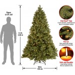 National Tree Company Pre-Lit &#39;Feel Real&#39; Artificial Full Downswept Christmas Tree, Green, Douglas Fir, White Lights, Includes Stand, 7.5 feet