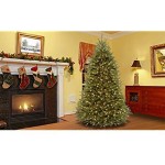 National Tree Company Pre-Lit Artificial Full Christmas Tree, Green, Dunhill Fir, White Lights, Includes Stand, 9 Feet