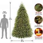 National Tree Company Pre-Lit Artificial Full Christmas Tree, Green, Dunhill Fir, White Lights, Includes Stand, 9 Feet