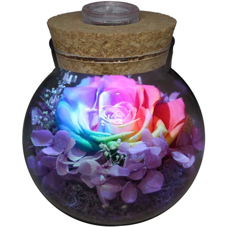 Preserved Real Roses with Colorful Mood Light Wishing Bottle,Eternal Rose，Never Withered Flowers,for Bedroom Party Table Decor, Christmas Decorations,a Gifts for Women (Rainbow)