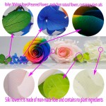 Preserved Real Roses with Colorful Mood Light Wishing Bottle,Eternal Rose，Never Withered Flowers,for Bedroom Party Table Decor, Christmas Decorations,a Gifts for Women (Rainbow)