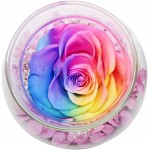 Preserved Real Roses with Colorful Mood Light Wishing Bottle,Eternal Rose，Never Withered Flowers,for Bedroom Party Table Decor, Christmas Decorations,a Gifts for Women (Rainbow)