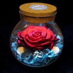 Preserved Real Roses with Colorful Mood Light Wishing Bottle,Eternal Rose，Never Withered Flowers,for Bedroom Party Table Decor, Christmas Decorations,a Gifts for Women (Ash red)