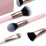 SIXPLUS 15Pcs Pink Makeup Brush Set with Makeup Holder (Pink)