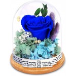 KING DOO Preserved Rose Gift for Mom Grandma Wife. Forever Eternal Blue Real Rose Present for Birthday Wedding Teachers Day Graduation