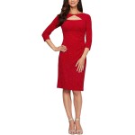 Alex Evenings Women's Short Jacquard Knit Dress (Regular and Petite)